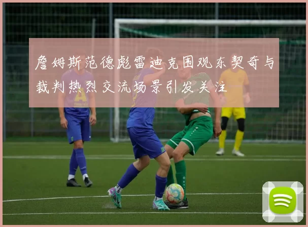 詹姆斯范德彪雷迪克围观东契奇与裁判热烈交流场景引发关注